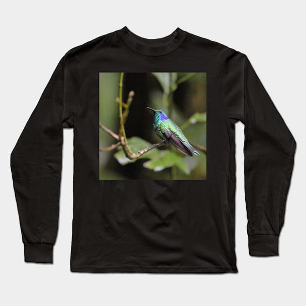 Green Violetear Hummingbird Long Sleeve T-Shirt by Carole-Anne